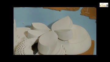 Case Study: ARCHITECTURE