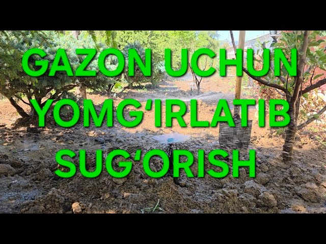 Bir qizil sochli gey yigit boshqa yigitning xorozini soradi, ikkinchisi esa uning ogziga tonnalab is Bir qizil sochli gey yigit boshqa yigitning xorozini soradi, ikkinchisi esa uning ogziga tonnalab is