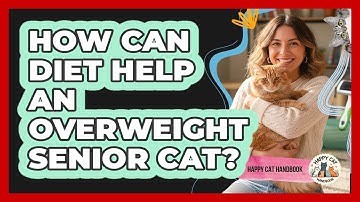 How Can Diet Help An Overweight Senior Cat? - Happy Cat Handbook