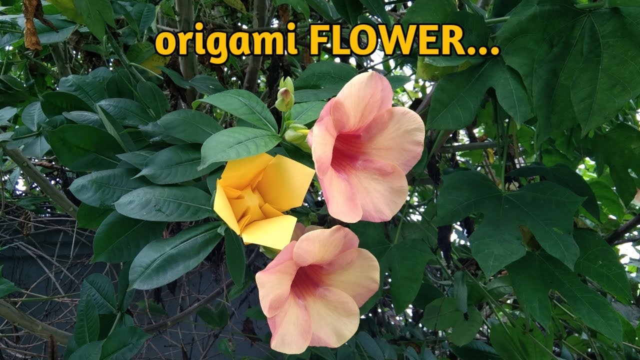 ORIGAMI FLOWER how to make origami flower no cut no glue? YouTube