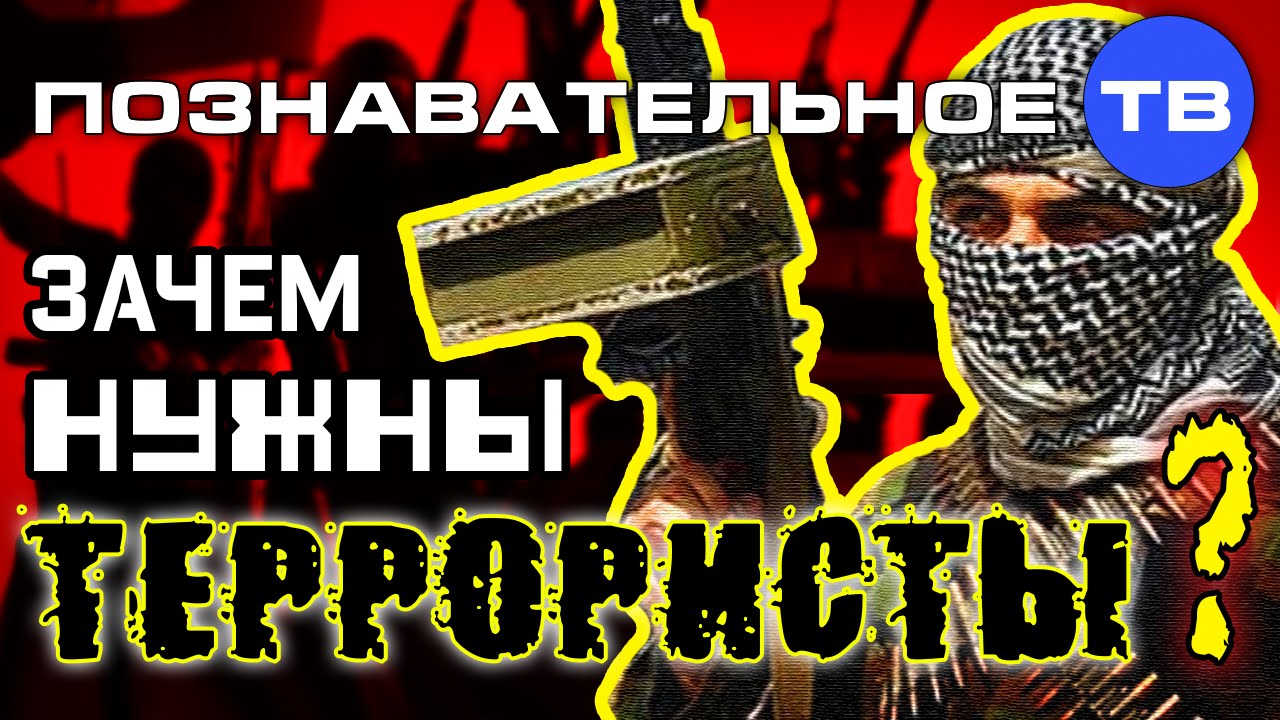 Зачем нужны террористы