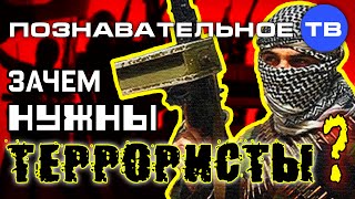Зачем нужны террористы? (Познавательное ТВ, Артём Войтенков)