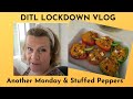 Daily Vlog: Another Monday & Stuffed Peppers