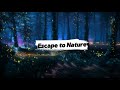 Escape to Nature – "Where Chill Beats Meet Trees