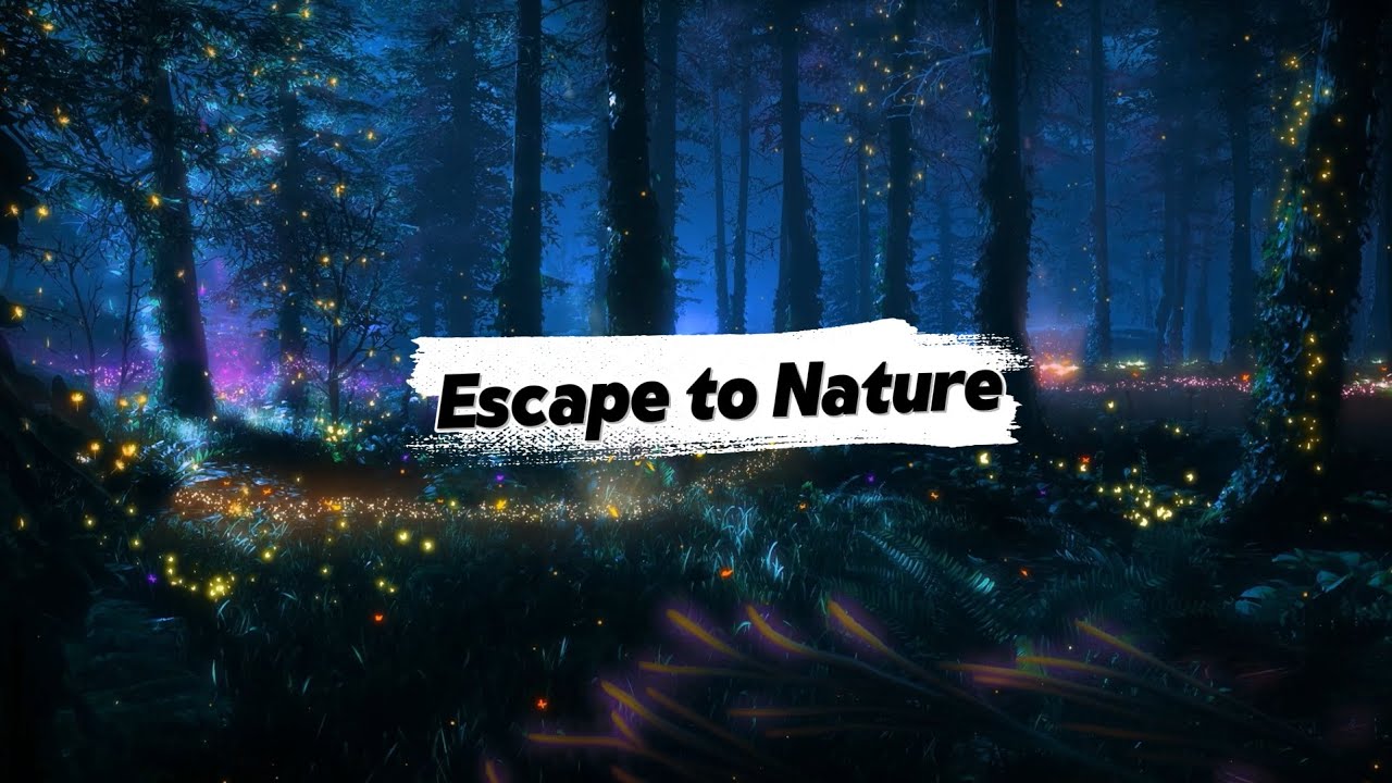Escape to Nature – "Where Chill Beats Meet Trees