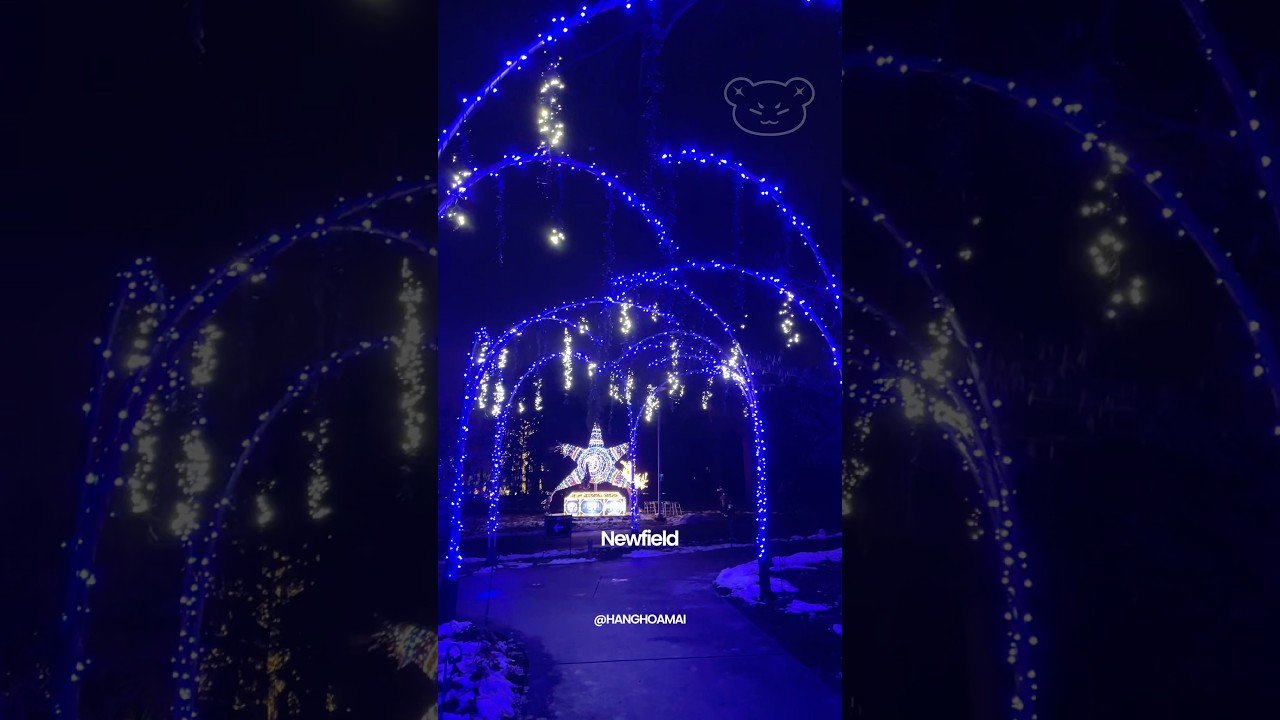 winterlights at newfields indianapolis