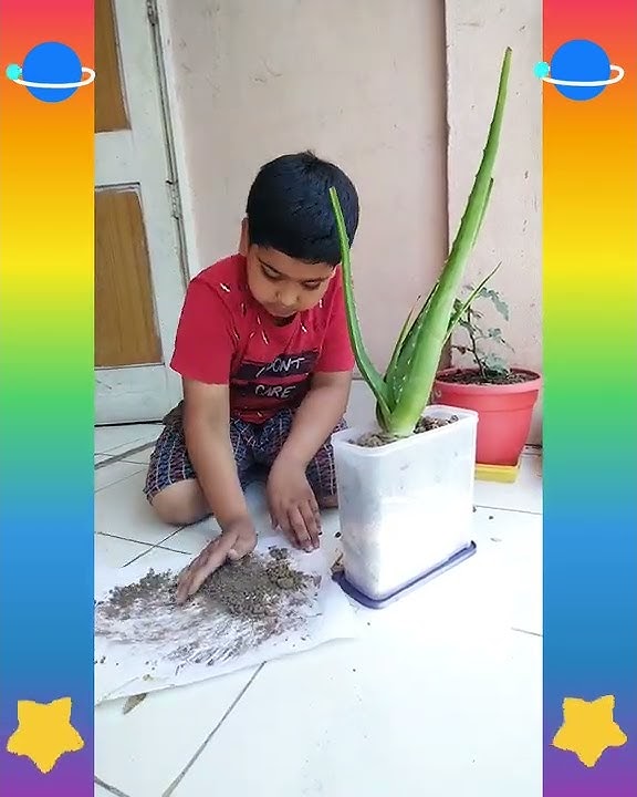 Kids Creative Activity's | How to teach Kids | How  Grow Aloe Vera Plant at Home | Child #shortvideo