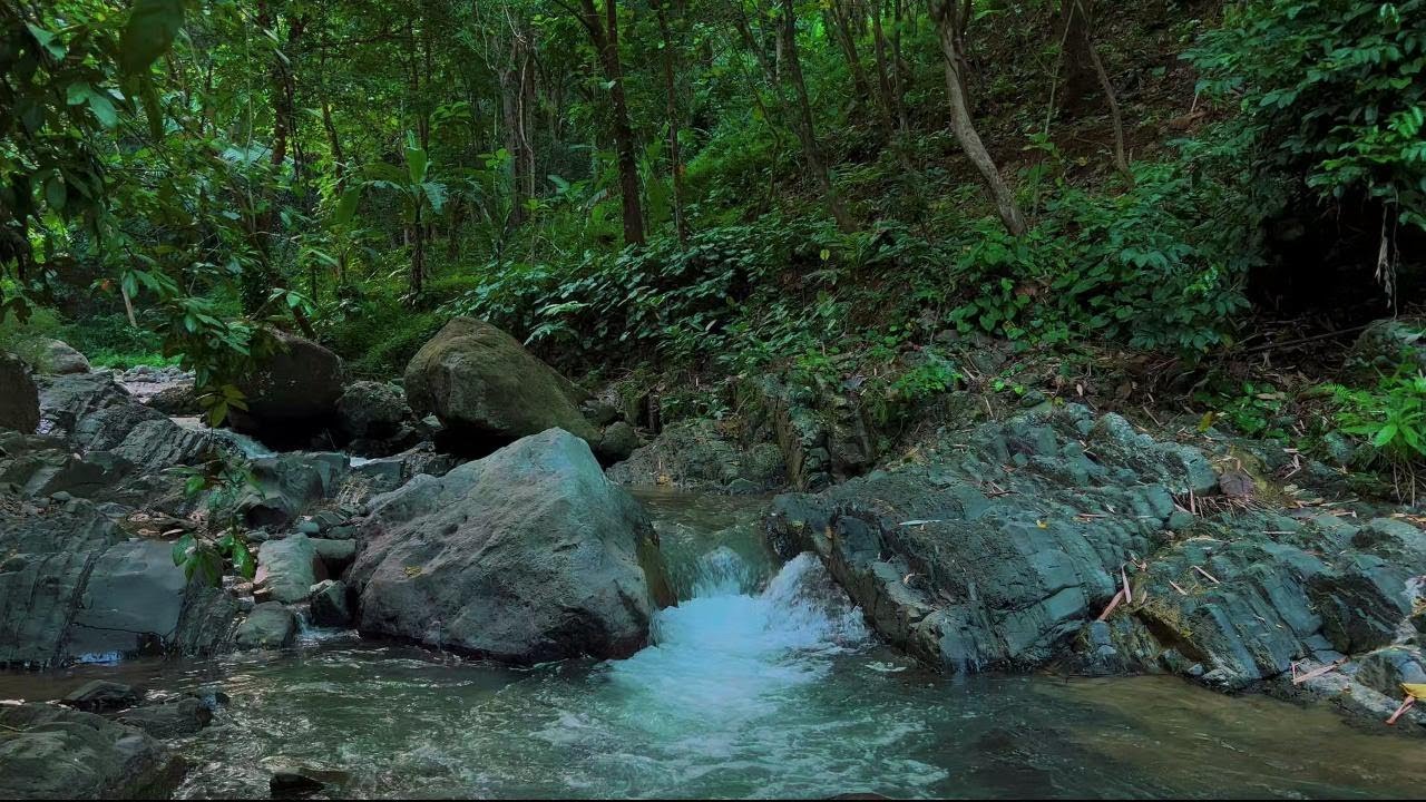 Relaxing Water River Ambience for Sleeping | Peaceful Night Nature for Stress-Free Dreams | 4K-HDR