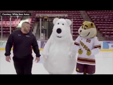 Cute polar bear can't stop falling during commercial shoot