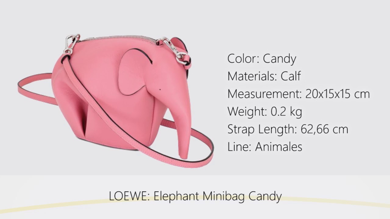 Fusion Of Effects: Object of Desire: Loewe Elephant Leather Shoulder Bag