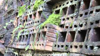 Real Haydenville Tunnel Ghost Voice - Vinton County, Ohio