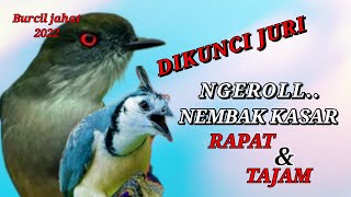 DIKUNCI JURI ❗NGEROL NEMBAK KASAR ! MASTERAN BURUNG LOMBA || masteran burung kecil