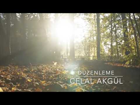 UYKU(Cover by Celal Akgül)Söz Müzik “Pau”