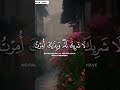 quran mentions #deathbattle #quran #quranrecitation #reminder #motivation #life #marriage #love