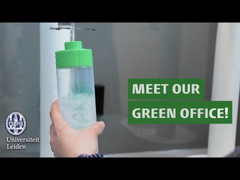 get-to-know-our-green-office!
