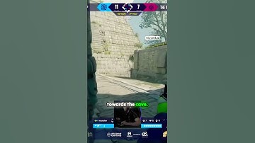 There are NIP fans? #cs2 #nip #blasphemous