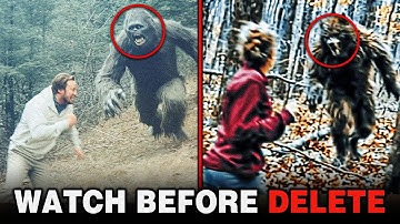 NO ONE BELIEVED It… Until Zoo Staff Captured This Insane Footage on Camera!