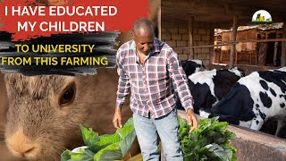 I Have Educated my Children upto University from Mixed Farming | (Dairy, Rabbit, Maize & Vegetables)