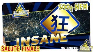 Evolution Fireworks Insane [NEUHEIT 2017] | FULL NEM | Salute Finale