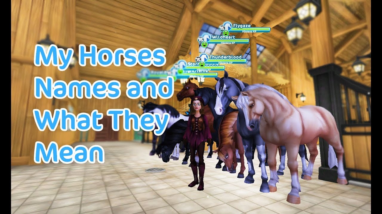 star stable online my horses names and what they mean youtube