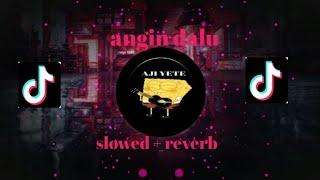 DJ ANGIN DALU  SLOWED   REVERB