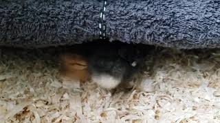 Mama Heating Pad