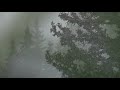 Miniature de la vidéo de la chanson Legends, Op. 59 No. 3 In G Minor: Allegro Giusto