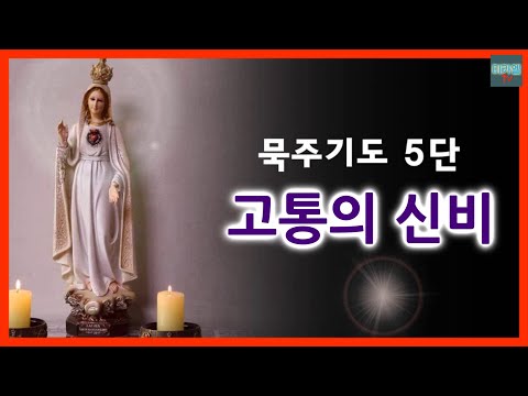 영상썸네일