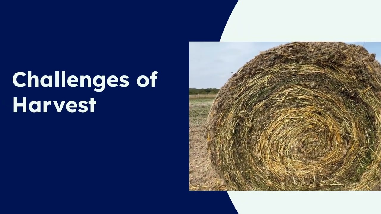 Polyculture: A New Approach to Sustainable Farming