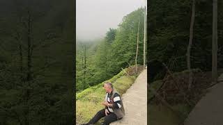 Sis ve yeşillik eşliğinde,O ağacın altını şimdi anıyor musun/Keyifli Dinlemeler.