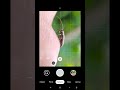 Macro phone,Foto macro Smartphone menggunakan Lensa macro #macro #viralshorts #shorts