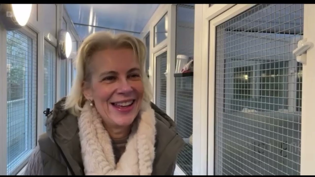 Inside the Lap of Luxury: The BBC Explores Longcroft Luxury Cat Hotel in Bury St Edmunds