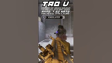 TAQ V GUN GUIDE MODERN WARFARE II - MWII SHORTS