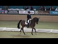 French Kiss &amp; Sigrid Wolff - FEI Freestyle Test of Choice - Evening of Musical Freestyles 2018