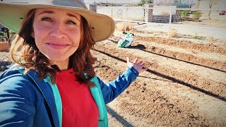 Raised Row Gardening: Amending Sandy Soil for the InGround Garden