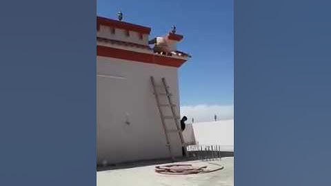 funny video aand clips sql