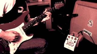 Ricardo Marins - Deep Trip Pedals BOG #1 #theguitarcavetoys