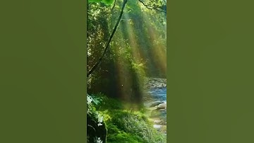 الأية26من سورة آل عمران بصوت د.بندر بليلة