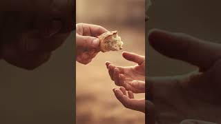 এক টুকরো রুটি… আর আল্লাহর রহমত | Small Good Deeds | ইসলামিক গল্প আলো | Islamic Short