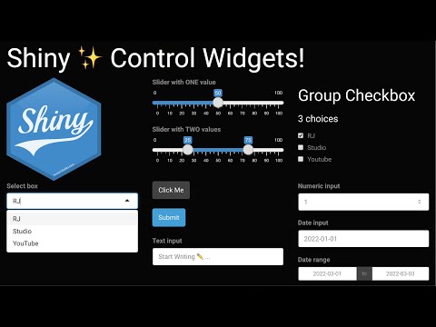 #R | Shiny ✨ Control Widgets | #RShiny #ShinyApp #WebApp #RStudio #RPackage
