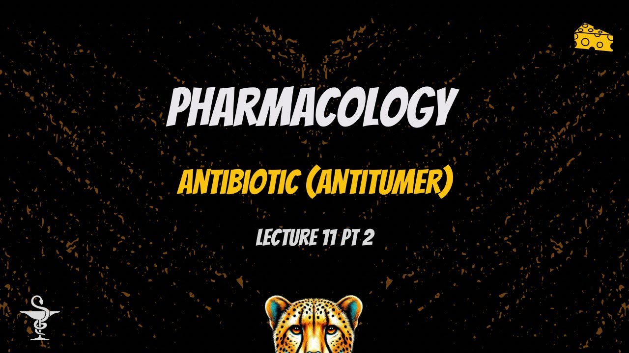 Lecture 11 - part 2 - Microtubule inhibitor - pharmacology 3 - YouTube