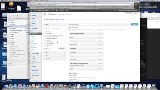 How To Add Your Amazon Store to your Wordpress Website