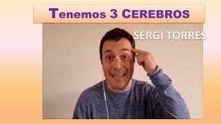 Tenemos 3 CEREBROS Sergi Torres habla de 👉NEUROLOGIA