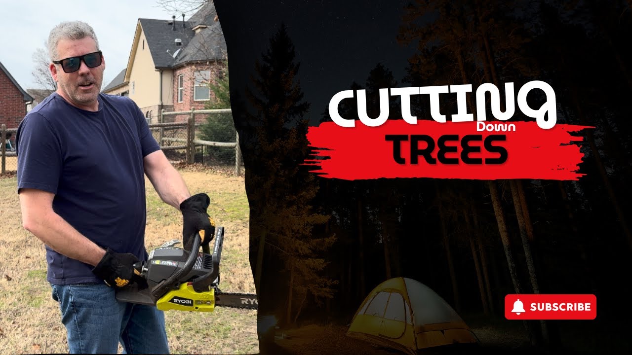 Cutting Down Dead Trees — What Was Living Inside Shocked Me - YouTube