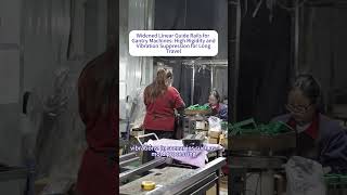 Guide Rails: Gantry Long-Stroke Stable Operation#guide  #CNC  #madeinchina