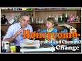 Science for Kids: Making Honeycomb