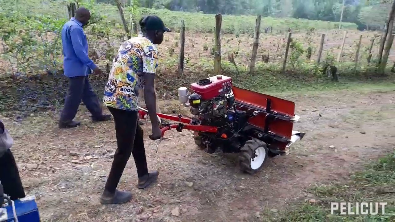 Пехотный трактор с жаткой в ​​Какамеге. Для получения дополнительной информации напишите мне в Wh...