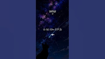 تلاوة هادئه بصوت الشيخ ماهر المعيقلي #اكسبلور