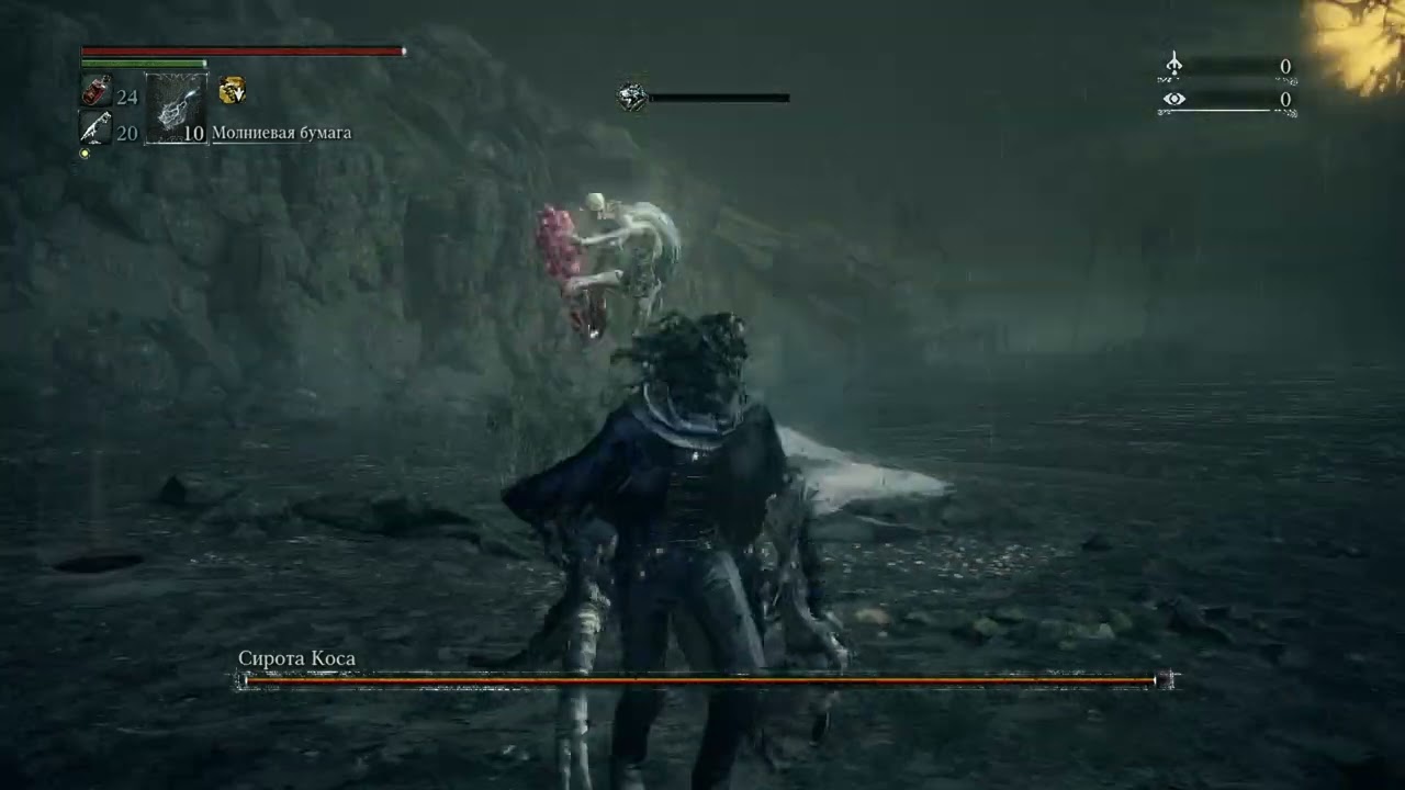 Bloodborne on PC moment 2