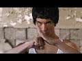 Afghan Bruce Lee  Abbas Alizada - Martial Arts Workout